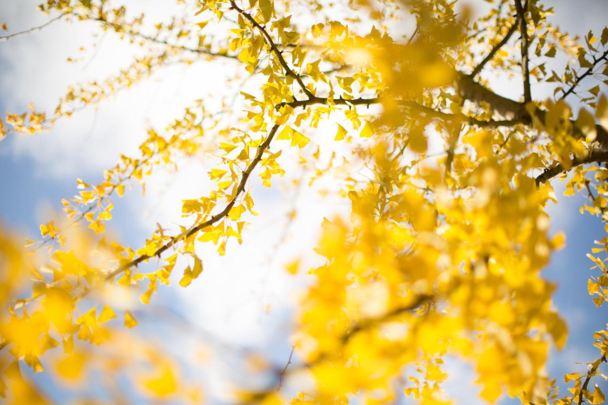 Ferienhaus "Sonne Im Gruenen" Lindern Ngoại thất bức ảnh